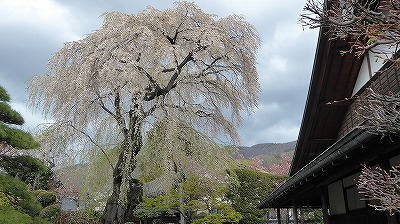 ���̊J�Ԃ���� 2018